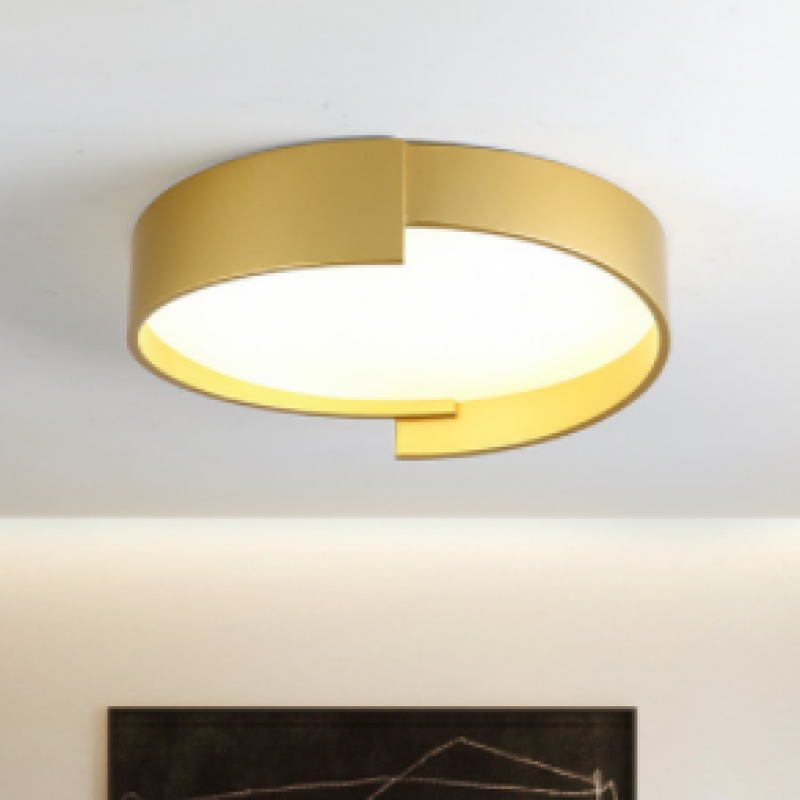 Quinn Moderne  Eenvoudig Ronde LED Plafondlampen Wit/Grijs/Groen Metaal Slaapkamer